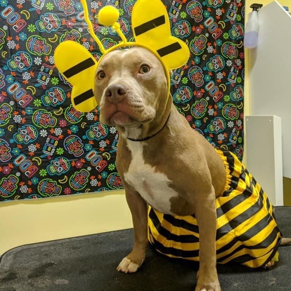 Meet your Posher, Jen - Picture 8 of 12